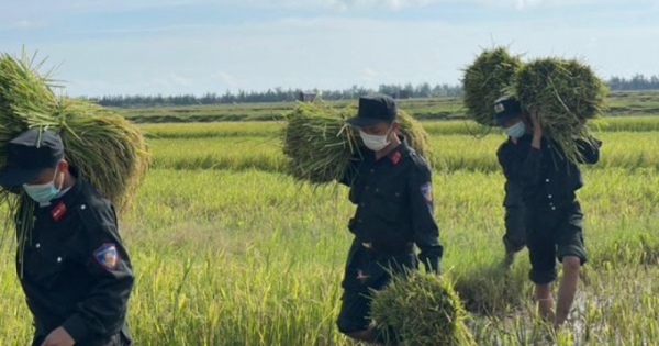 Công an Hà Tĩnh xuống đồng giúp dân gặt lúa chạy bão Coson