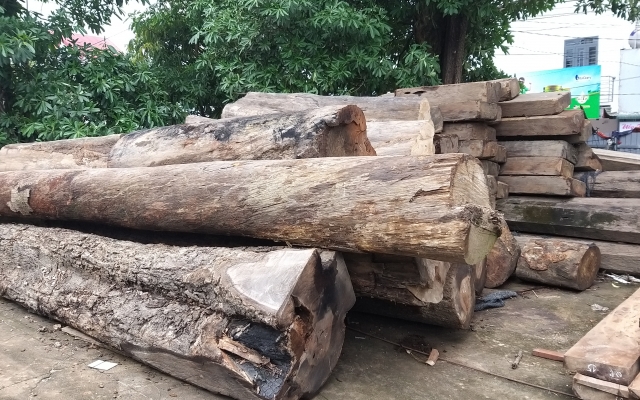 Thu giữ gần 10m3 gỗ vô chủ tại xã Cư Drăm, huyện Krông Bông