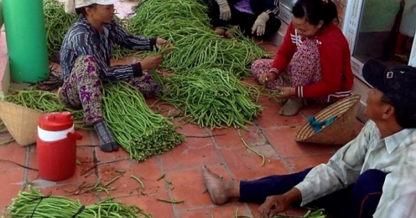 Tây Ninh đưa hộ sản xuất nông sản lên sàn thương mại điện tử