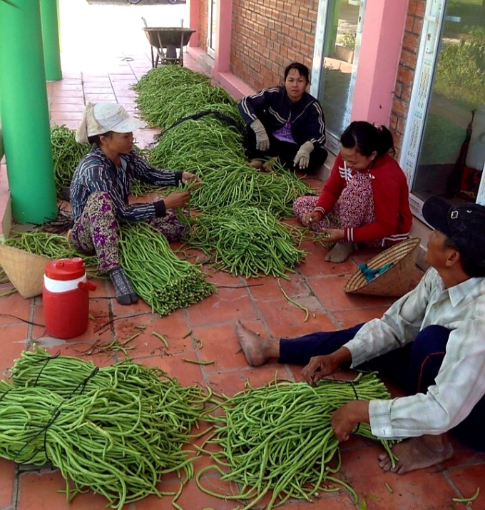 Viettelpost Tây Ninh cam kết đồng hành chặt chẽ cùng hộ sản xuất nông nghiệp Tây Ninh trong việc chuyển đổi số. Trong đó, đặc sản địa phương như: mãng cầu, dưa lưới, sầu riêng….tiếp tục là sản phẩm được ưu tiên. Ảnh: Minh họa