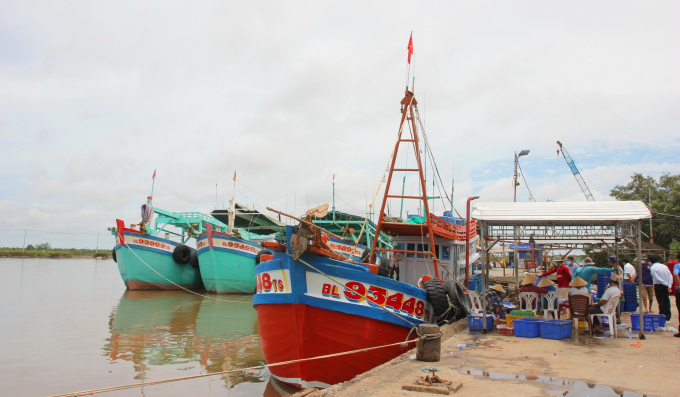 Bến cảng Gành Hào đón tàu khoảng 5.000 tấn, phục vụ phát triển kinh tế - xã hội tỉnh Bạc Liêu.
