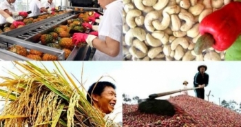 Thách thức lớn với nông sản Việt