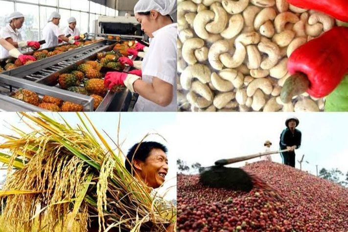 Việt Nam đang đứng top đầu thế giới về XK nhiều mặt hàng nông sản.