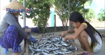 Quảng Trị: Miễn học phí cho 16.000 học sinh vùng biển