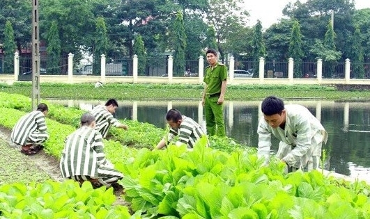 Phạm nhân bị điện giật tử vong trong trại giam