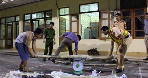 Bắc Giang: Bắt giữ xe khách chở 6 tạ gỗ sưa đỏ