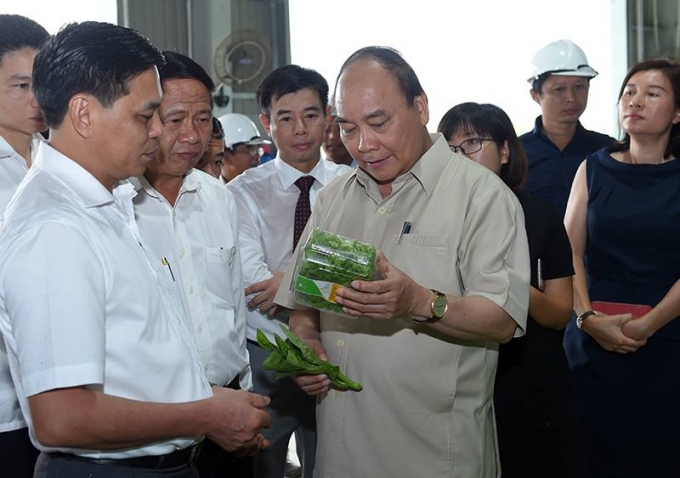 Thủ tướng Nguyễn Xu&acirc;n Ph&uacute;c thăm m&ocirc; h&igrave;nh n&ocirc;ng nghiệp c&ocirc;ng nghệ cao tại x&atilde; Tam Đa.