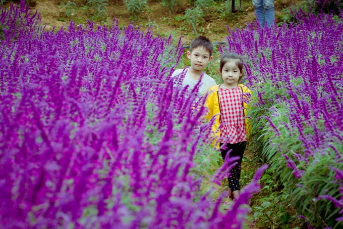 Những em nhỏ cũng được bố mẹ đưa ra vườn hoa chơi đ&ugrave;a. Ảnh: Nguyễn Thắng.