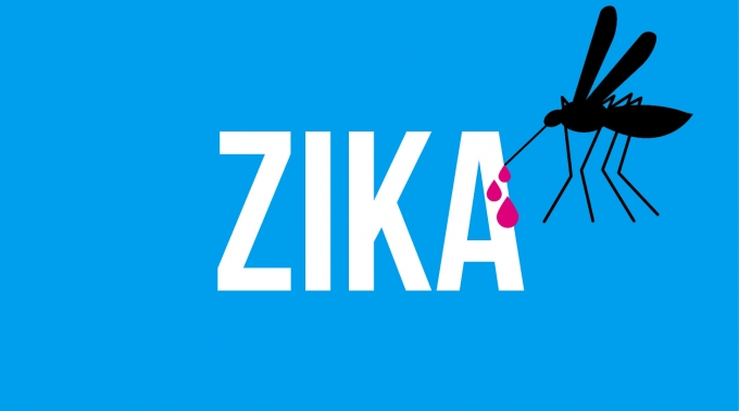 Đến nay, cả nước đ&atilde; ghi nhận 7 trường hợp nhiễm virus Zika. Ảnh: Internet