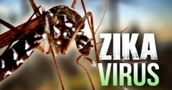 TP Hồ Chí Minh: Thêm một người nhiễm virus Zika