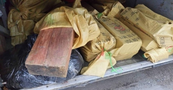 Gỗ sưa, gỗ nghiến lậu "chạy" về Thủ đô bằng xe khách