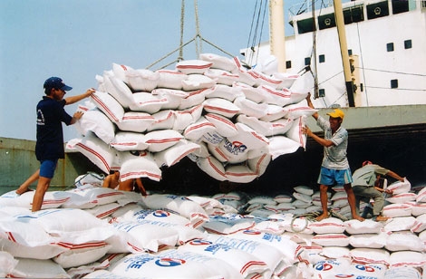 Kim ngạch xuất khẩu gạo giảm 16,9% so với cùng kỳ năm ngoái