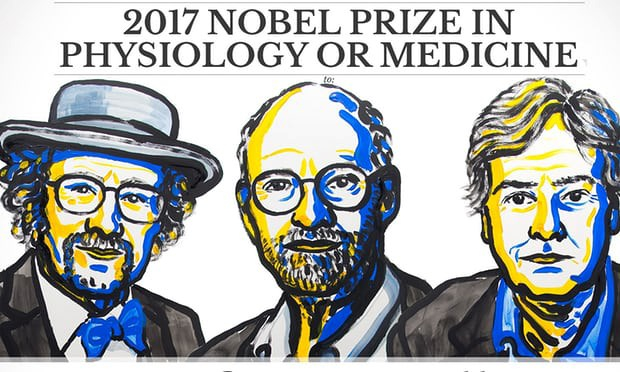 Ph&aacute;c thảo ch&acirc;n dung c&aacute;c nh&agrave; khoa học được trao giải Nobel Y học 2017