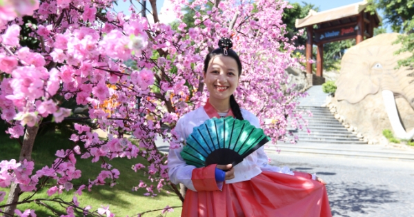 Đà Nẵng: Tưng bừng Lễ hội giao lưu văn hóa Việt - Hàn trong vòng 1 tháng