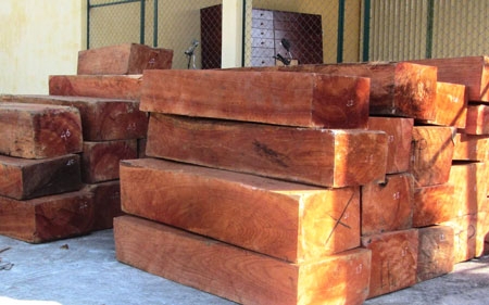 Yên Bái: Bắt giữ xe tải chở hơn 10 tấn gỗ hộp không rõ nguồn gốc