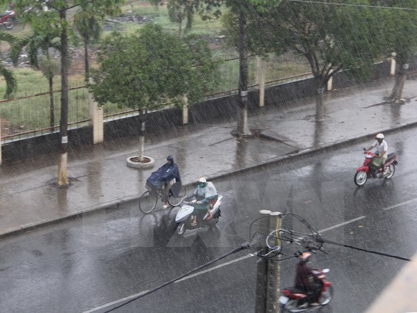 Cảnh b&aacute;o mưa gi&ocirc;ng tại Nam Bộ. Ảnh: minh họa/Nguồn: TTXVN