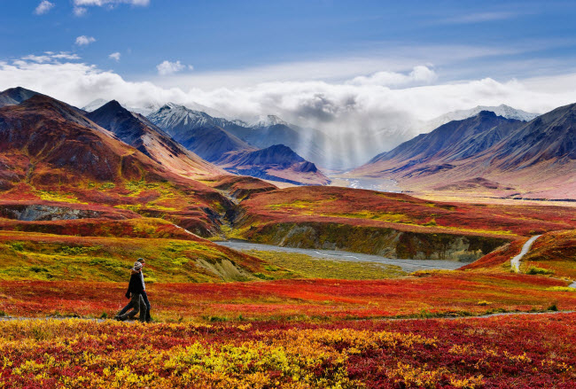 Khung cảnh m&ugrave;a đẹp m&ecirc; hồn trong vườn quốc gia Denali ở Alaska. V&ugrave;ng đất n&agrave;y đ&atilde; được Nga b&aacute;n cho Mỹ c&aacute;ch đ&acirc;y đ&uacute;ng 150 năm với gi&aacute; 7,2 triệu USD.