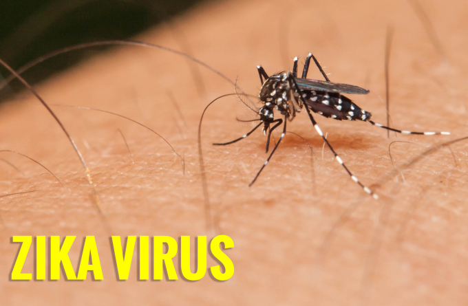 Từ đầu năm đến nay, cả nước ghi nhận 32 trường hợp nhiễm virus Zika. Ảnh: minh họa