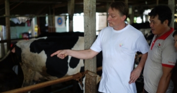 Giao lưu chăn nuôi bò sữa giữa nông dân Việt Nam và nông dân Hà Lan