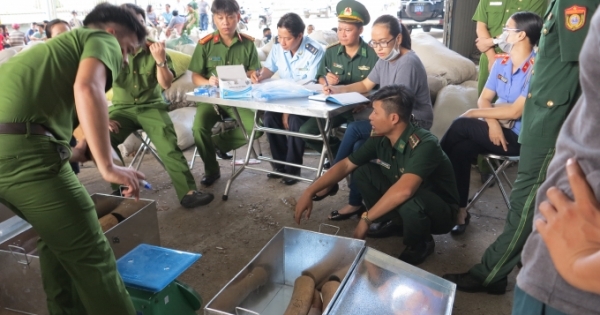 Hải quan Đà Nẵng bắt giữ lô hàng "khủng" ngà voi và vảy tê tê