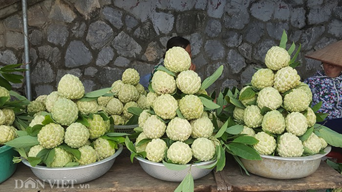 Sản phẩm na Lạng Sơn lu&ocirc;n được kh&aacute;ch h&agrave;ng ưa chuộng bởi vị ngon, ngọt được chắt lọc từ những tinh t&uacute;y của n&uacute;i rừng.