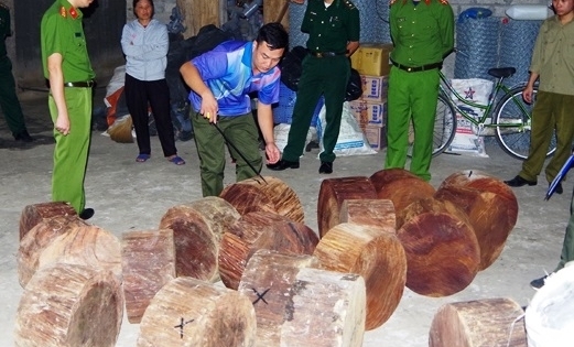 Liên ngành tỉnh Hà Giang mật phục thu giữ 20 cục gỗ nghiến trái phép của 1 đối tượng