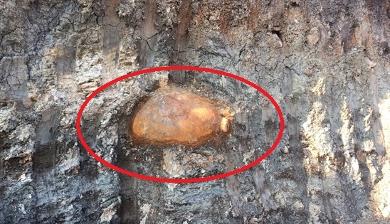 Đắk Lắk: Phát hiện quả bom ở mở đá nặng hơn 2 tạ