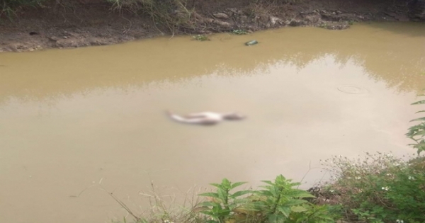 Hà Nội: Bàng hoàng phát hiện thi thể người đàn ông khỏa thân, đang phân hủy dưới mương nước