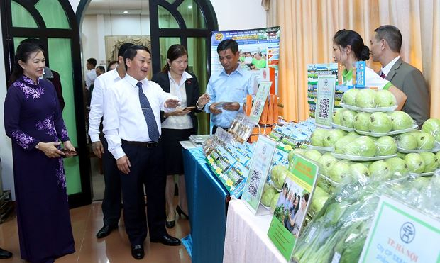 Đại biểu tham quan c&aacute;c sản phẩm của DN Việt Nam giới thiệu tại Hội thảo