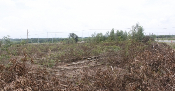 Đồng Nai: Phó Thủ tướng chỉ đạo bồi thường cho dân vụ thu hồi 16ha đất rừng
