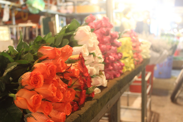 Chưa tới lễ 20/10, hoa hồng tại chợ Quảng B&aacute; đ&atilde; tăng v&agrave;i gi&aacute;