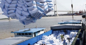 Xuất khẩu gạo Việt Nam tăng mạnh về chất