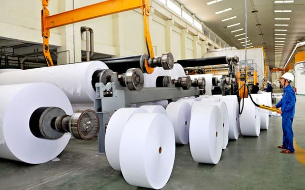 Ng&agrave;nh giấy Việt Nam đang lo lắng thiếu nguy&ecirc;n liệu sản xuất v&igrave; bị dừng nhập khẩu phế liệu giấy.