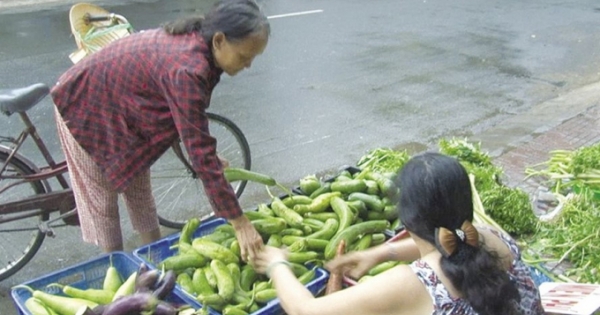 Quầy rau củ miễn phí ở Sa Đéc: Sự sẻ chia ý nghĩa với người nghèo
