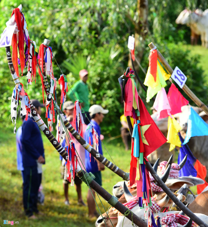 Lễ hội đua b&ograve; ở An Giang l&agrave; một trong những lễ hội đậm chất văn ho&aacute; của người Khmer ở An Giang n&oacute;i ri&ecirc;ng v&agrave; miền T&acirc;y Nam Bộ n&oacute;i chung.