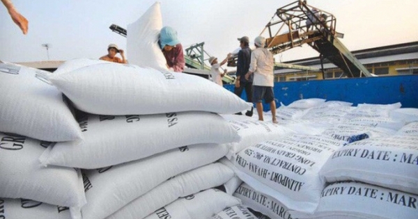 Xuất cấp gạo cho 2 tỉnh Ninh Thuận và Bình Định