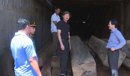 Đắk Lắk: Phát hiện số lượng lớn gỗ không rõ nguồn gốc trong xưởng