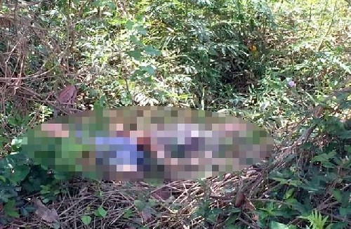 Lâm Đồng: Người dân phát hiện thi thể người đàn ông bên bờ suối