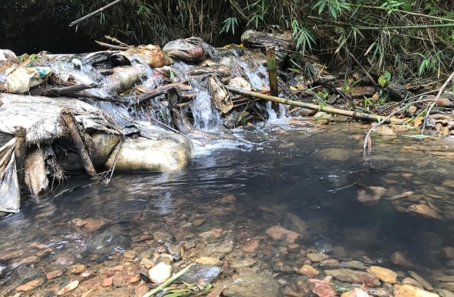 Tổng Giám đốc Viwasupco: Không có độc trong nước sạch sông Đà