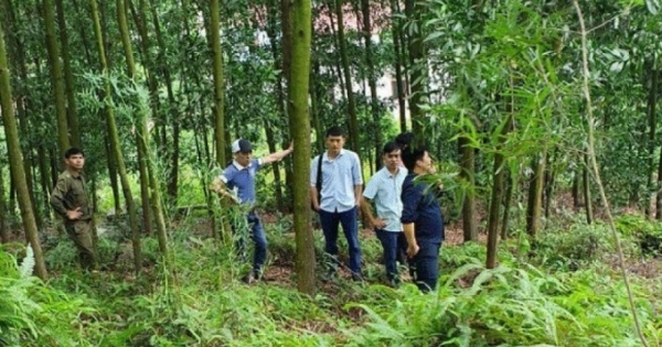Nhiều uẩn khúc trong vụ Phó chủ tịch xã chết trong rừng ở Bắc Giang