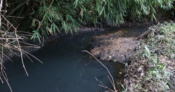 Giam giữ 2 đối tượng xả trộm dầu thải gây ô nhiễm nguồn nước sông Đà