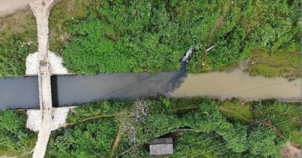 Con đường lòng vòng của dầu thải bị đổ vào làm ô nhiễm nguồn nước sạch Hà Nội