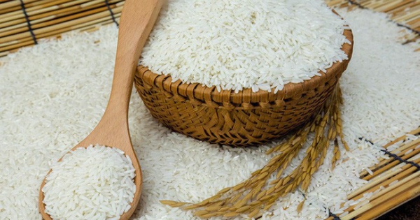 Xuất cấp cho tỉnh Bình Định hơn 494 tấn gạo