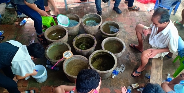 Đà Nẵng: Triệt xóa ổ đá cá ăn tiền trong khu dân cư