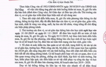 Đà Nẵng: Xuất hiện văn bản giả mạo của Sở GD&ĐT cho học sinh nghỉ bão số 5