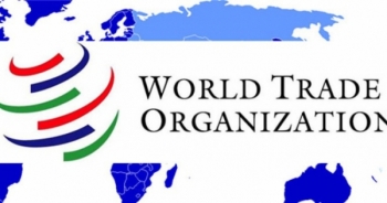 Thách thức mới của Tổ chức Thương mại thế giới trong cuộc bầu chọn Tổng giám đốc