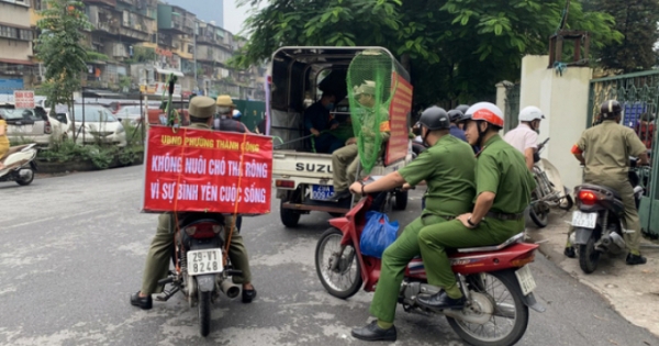 Thành lập 14 đội bắt chó thả rông tại Hà Nội