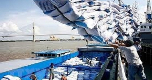 Tại sao 24 thương nhân không xuất khẩu gạo không bị thu hồi Giấy chứng nhận?