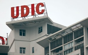 Kiểm toán Nhà nước: Nhiều công ty con của UDIC vào diện "giám sát đặc biệt"