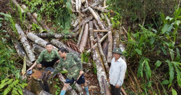 Chủ tịch tỉnh Hà Giang chỉ đạo làm rõ vụ phá rừng trái phép ở Khuổi Le